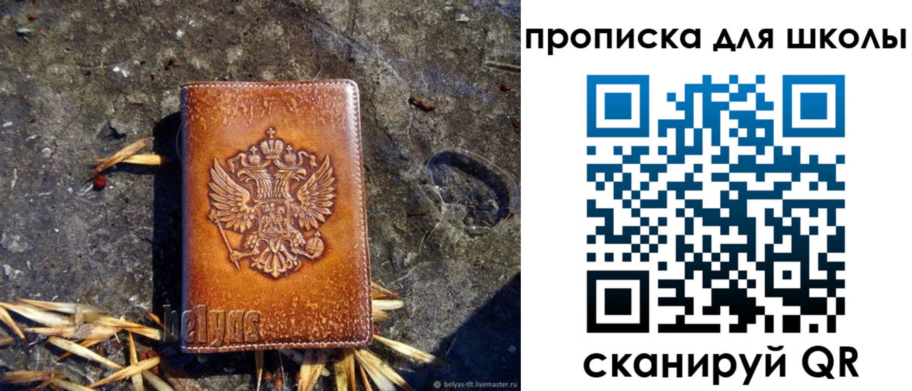 регистрация для школы в Купино